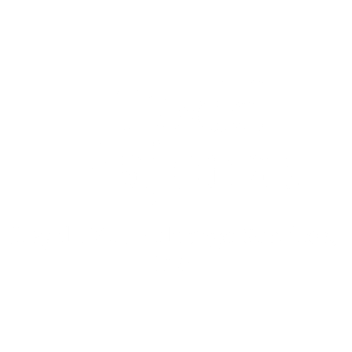 Todd Pajonas | Professional Overview